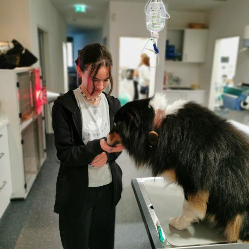 Berufsorientierung
