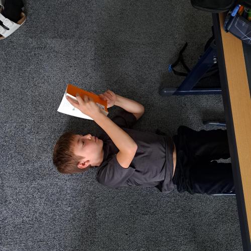 Lesen, lesen, lesen
