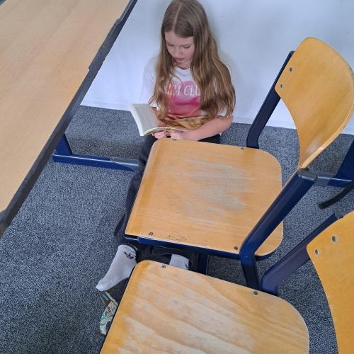 Lesen, lesen, lesen