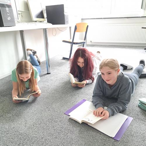 Lesen, lesen, lesen