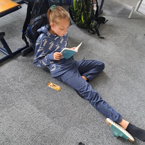Lesen, lesen, lesen