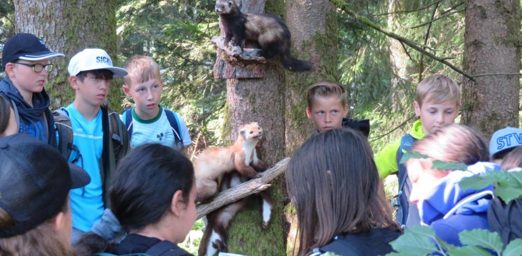 Jäger in der Schule