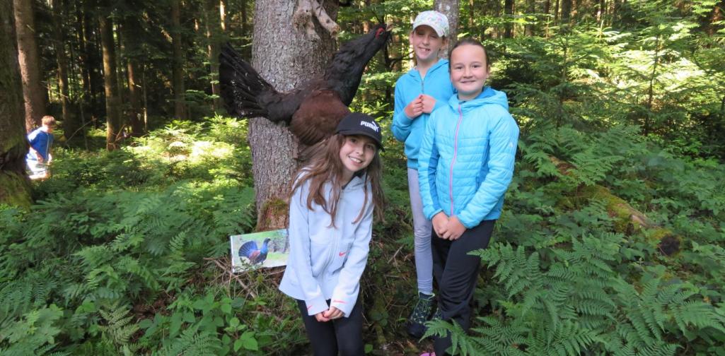 Jäger in der Schule